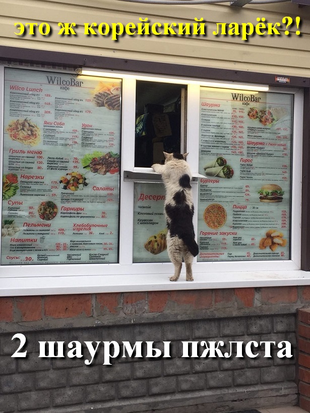 Подборка картинок. Забавных, прикольных - разных!