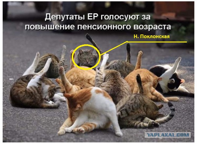 Специфический юмор
