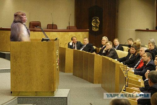 Начальник перед подчиненными