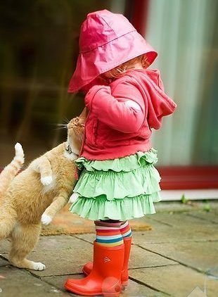 Сегодня котовторник, а котиков все нет