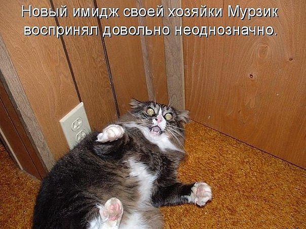 Разные картинки из интернета