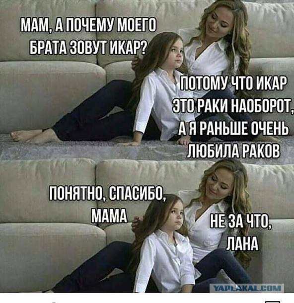 Смешные комментарии из социальных сетей 02.11.2018