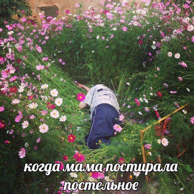 Тёмные силы просыпаются
