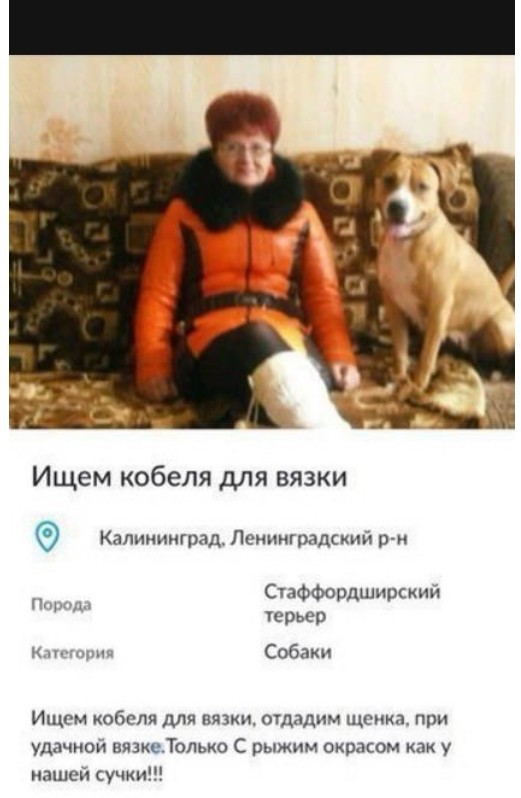 Отряды Путина. Новое видео