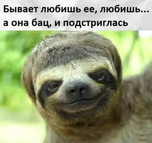 Чуток картинок  26.06.19