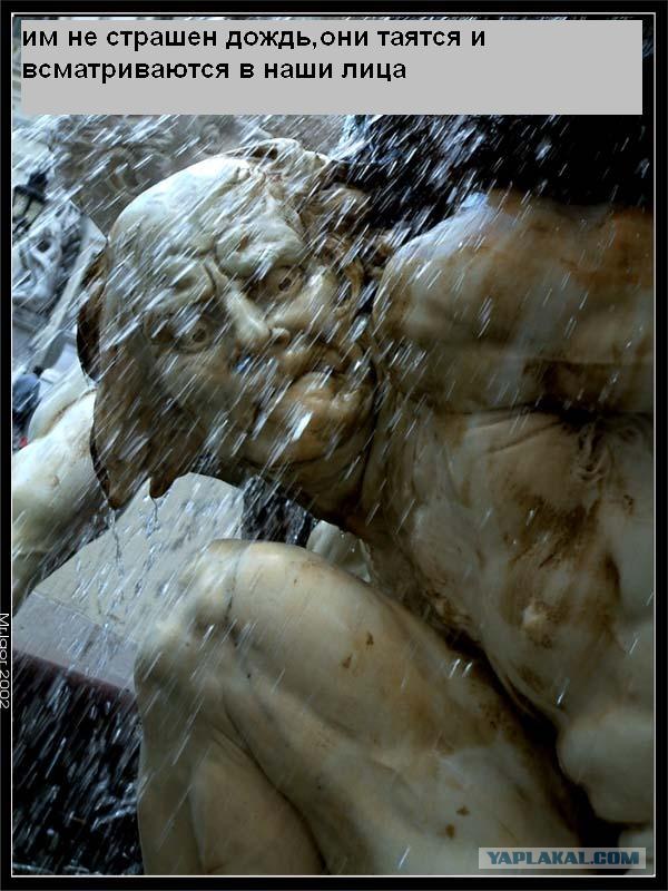 Мы уже прилетели (12 фото)