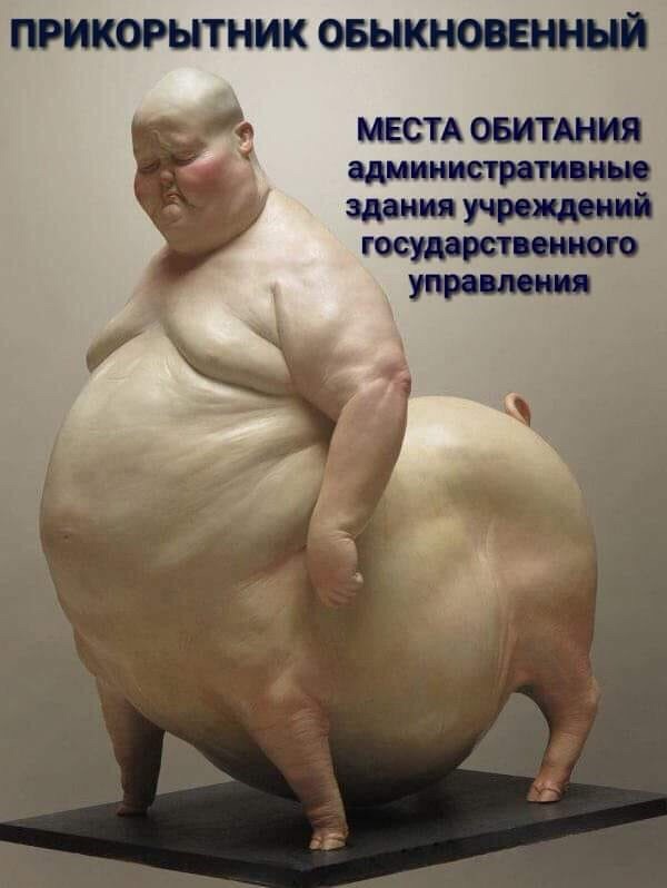 Подборочка трэша на понедельник 19-08