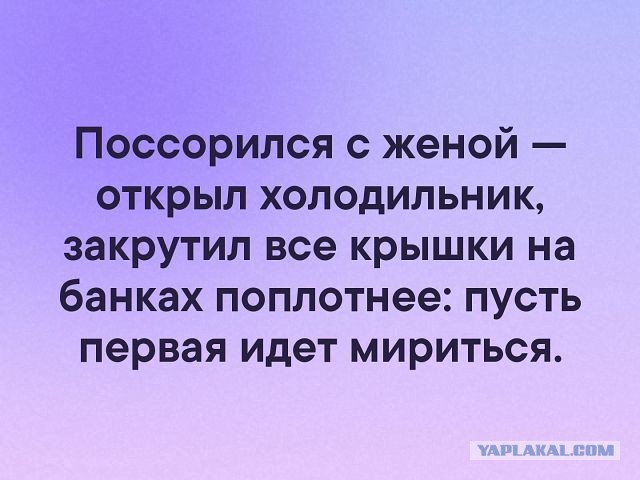 Картинки с надписями, истории и анекдоты