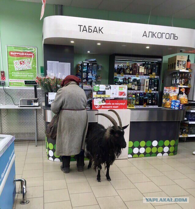 Картинки в магазин для прикола, сердцем разбей