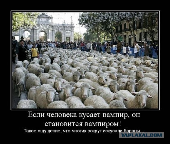 Древние мемы с ВК. Для тех кто забыл