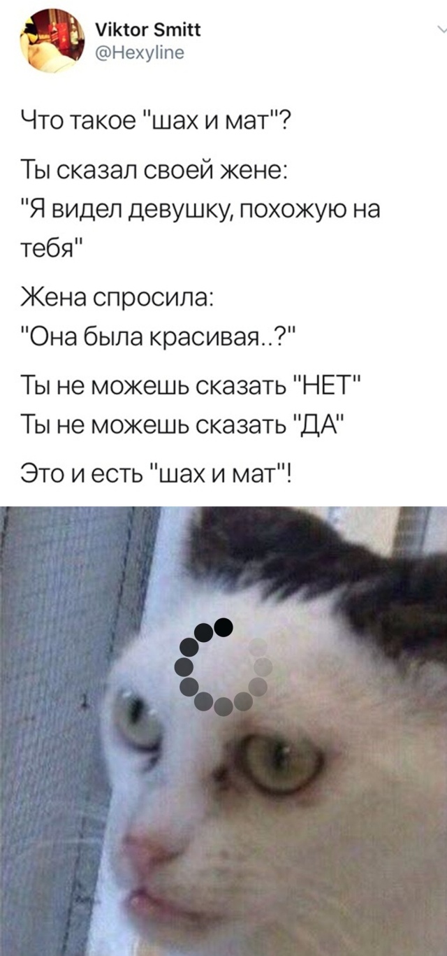 Немного картинок для настроения 22.02.20