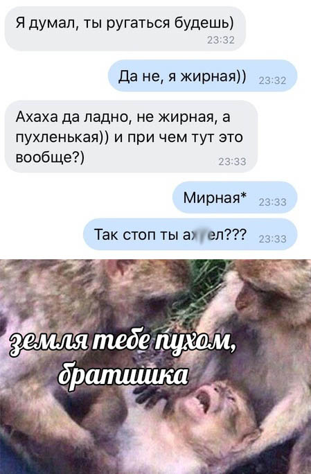 Забавные шутки, картинки и фразы из этих ваших интернетов