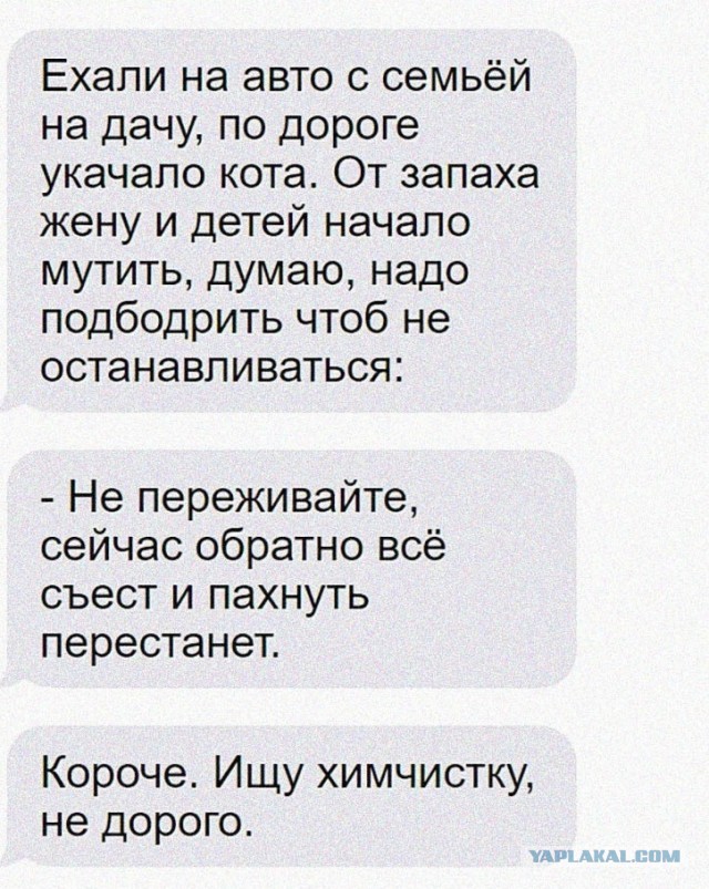 Кретинизмы из KV и KO 27.01.21