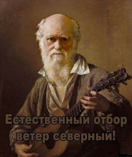 Всмятку