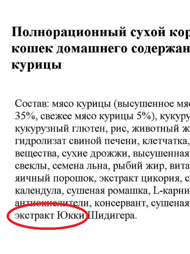 Почему ЯПовскую юкку можно обналичивать только в крупных городах?