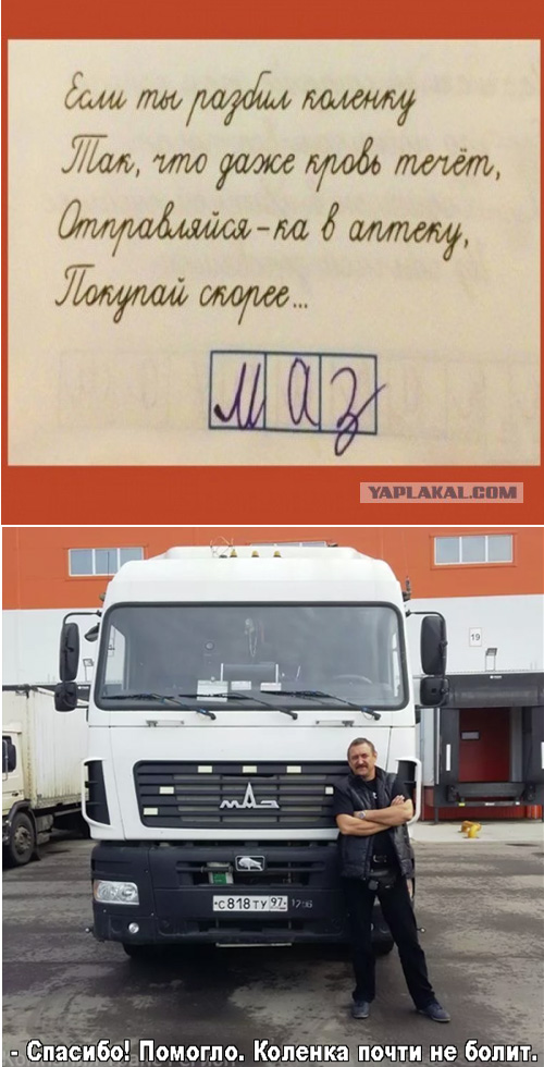 В лесу родился, в лесу вырос