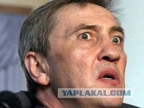Вся правда о Януковиче