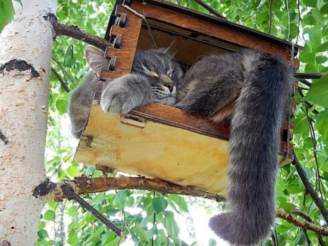 Картинки и мемы для настроения 05.08.2021
