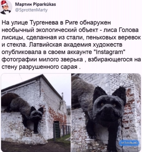 Так себе картинки 29.08.21