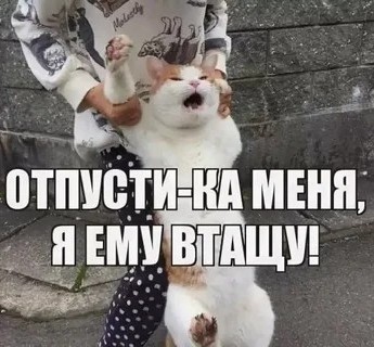 Пилот гражданской авиации рассказал о минусах своей профессии