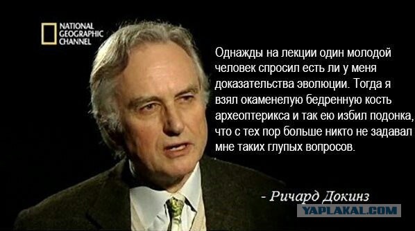 Я художник - я так вижу