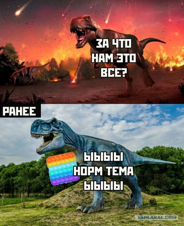 И это - элита?