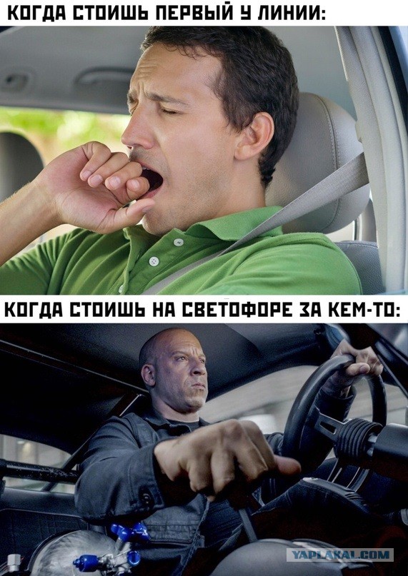 Весёлый полтишок 11.04.22