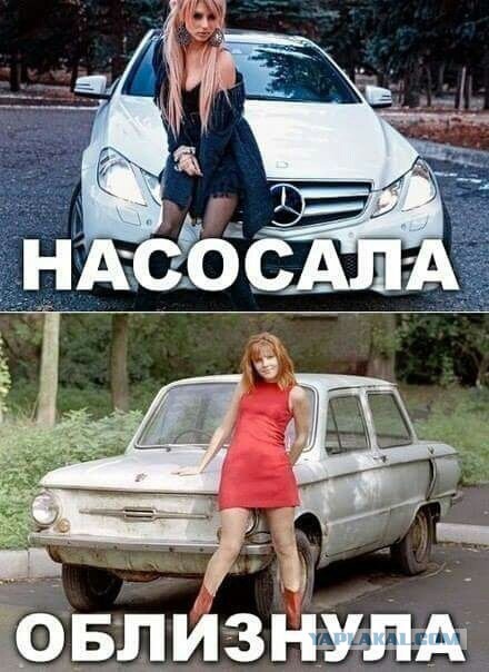 Весёлый полтишок 20.04.22
