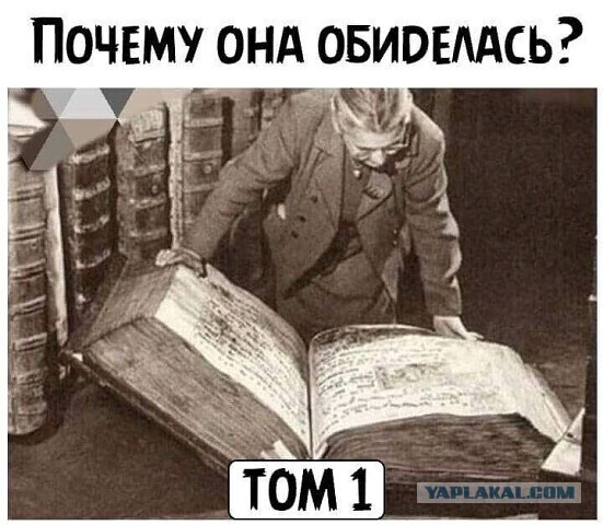 Весёлый полтишок 08.06.2022