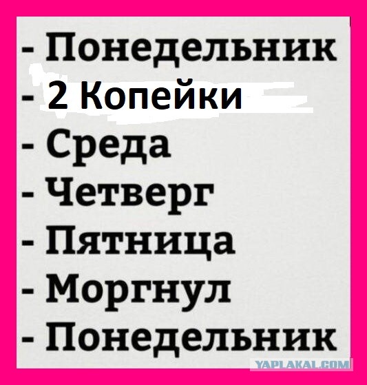 Пятница. Вечер. Картинки всякие #10