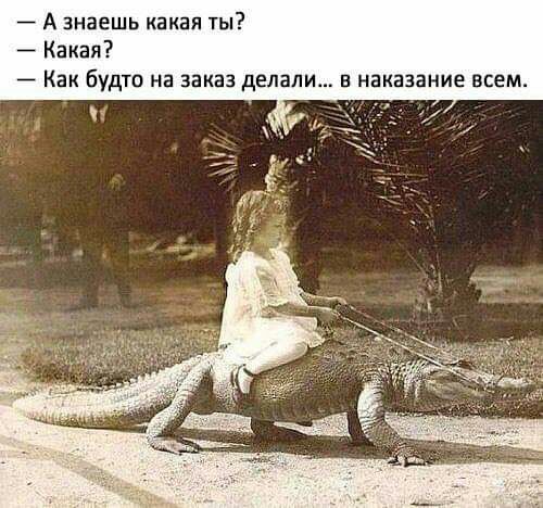 Пятница. Вечер. Картинки всякие #12