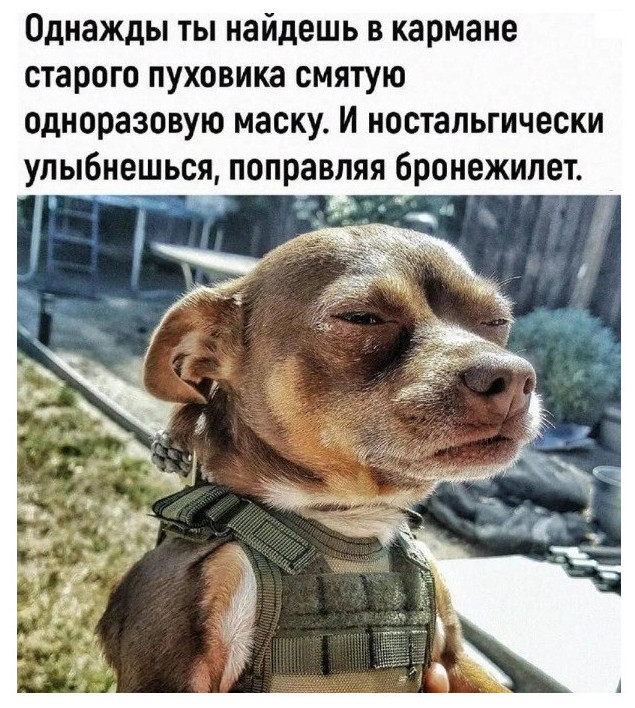 Пандемия съехавших крыш - разновидности болезни. Россия и мир. Часть 42.