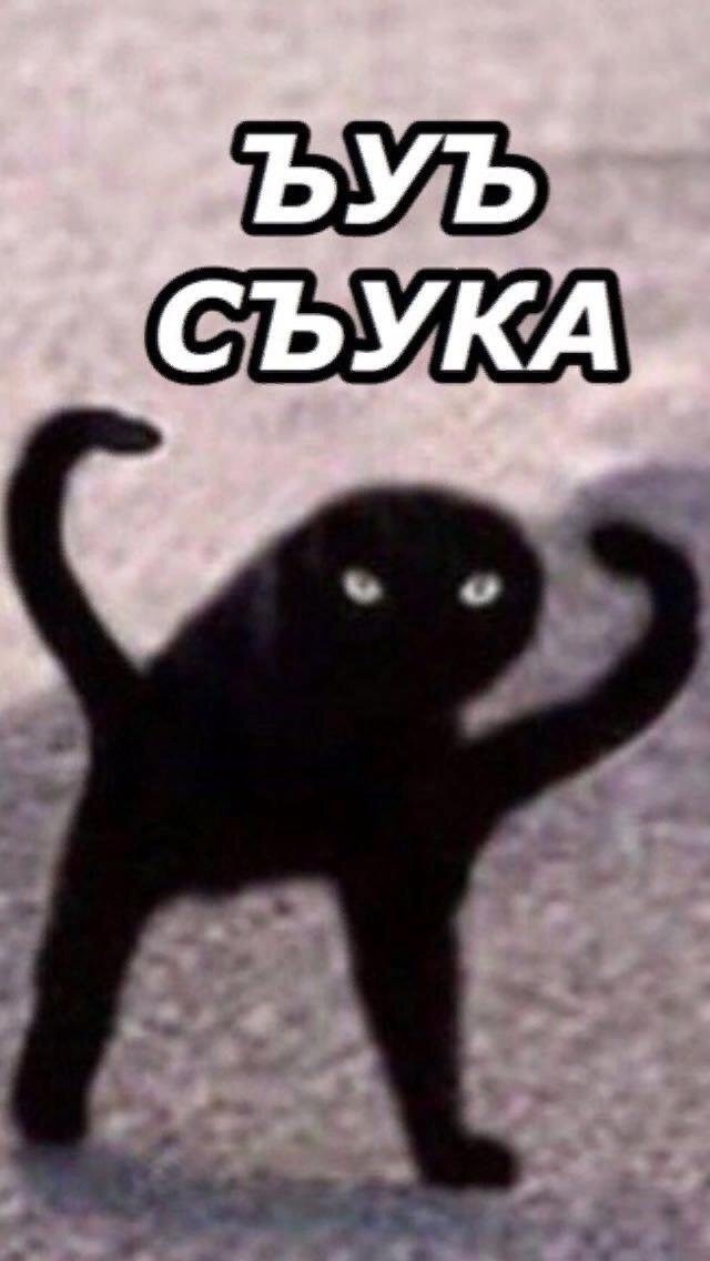 Мемчики. Опишите одним мемом, как дела, что на душе?