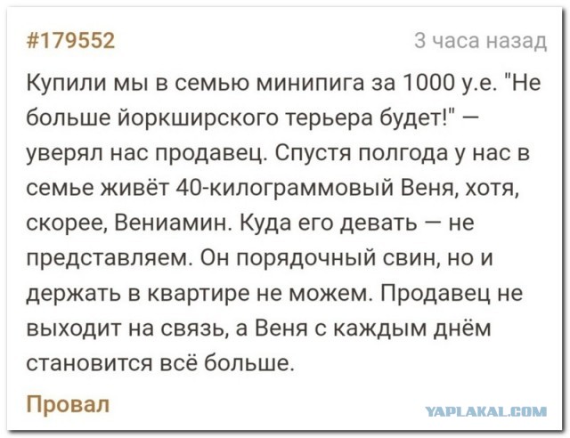 Забавные комментарии из социальных сетей (12.12.22)