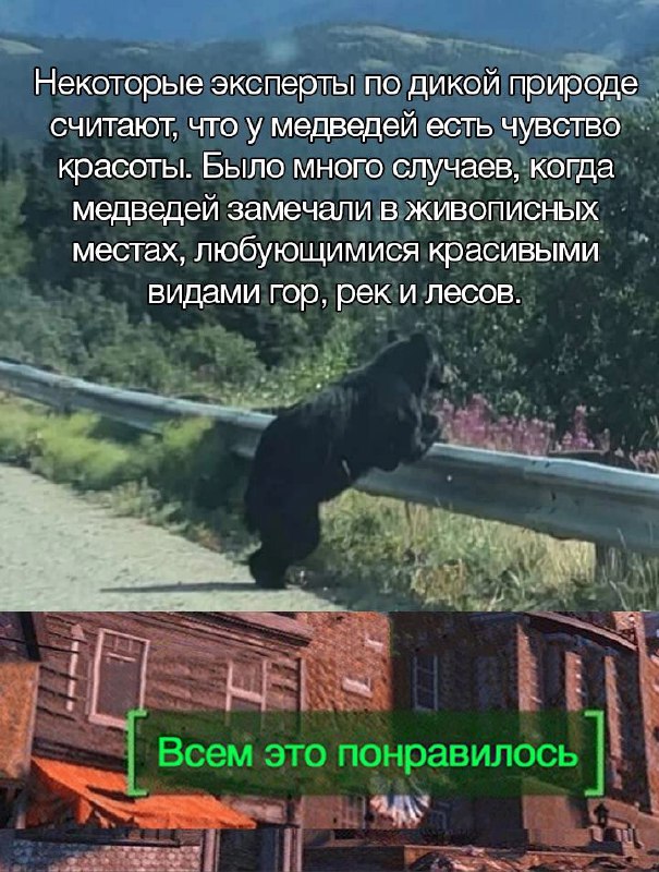 Картинки и мемы для настроения - 125
