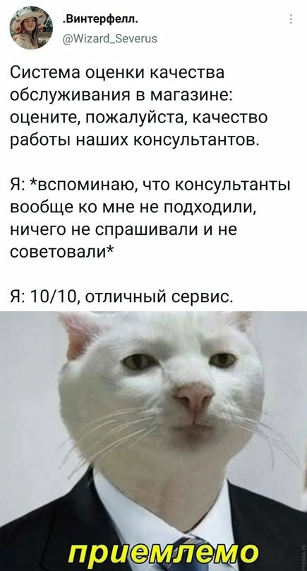 Не бейте баяниста - играет, как может