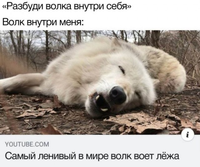 Картинки и мемы для настроения - 119