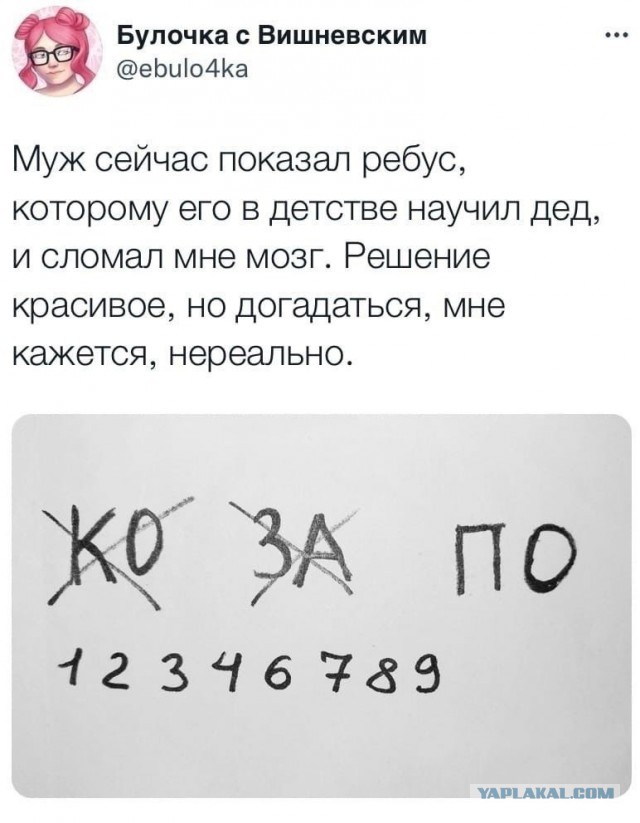 Чуток картинок 22.01.23