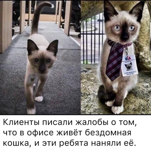 Немного картинок для настроения - 139