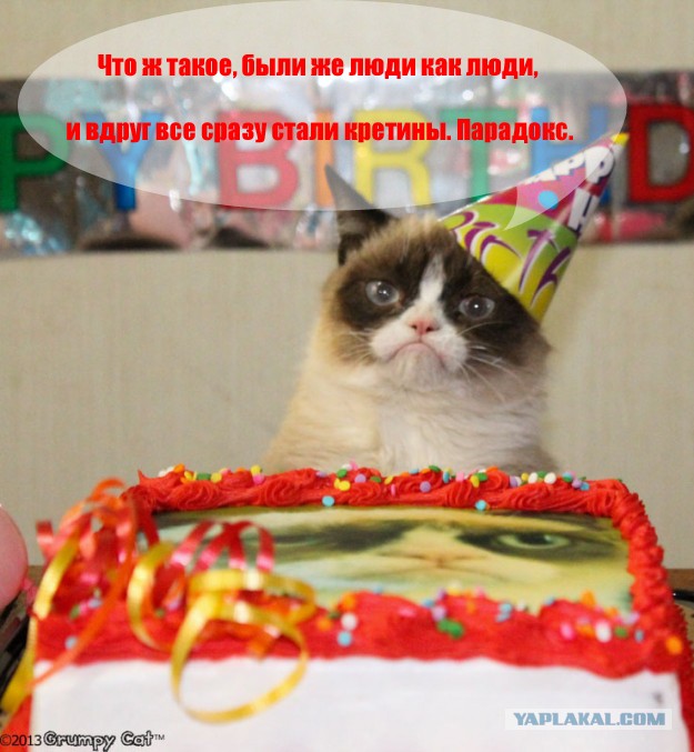 День рождения у Grumpy Cat