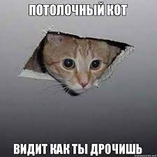 Поздний ужин сильной независимой женщины