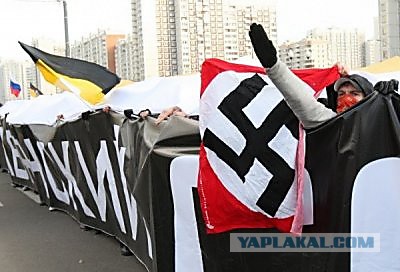 Вот и выросло поколение, в подвале, под обстрелами
