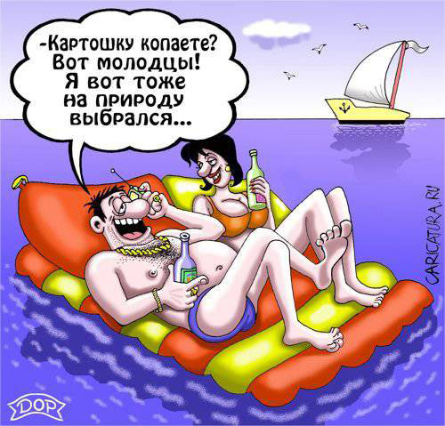 Заключительная порция баянов в уходящем году
