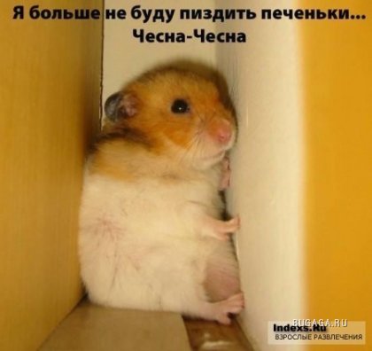 У нас даже в мыслях не было ...