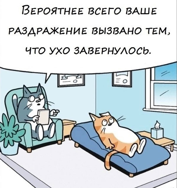 Новая неделя - новые баяны