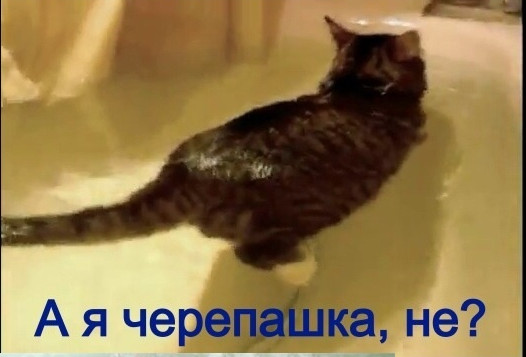 Хвастунишки