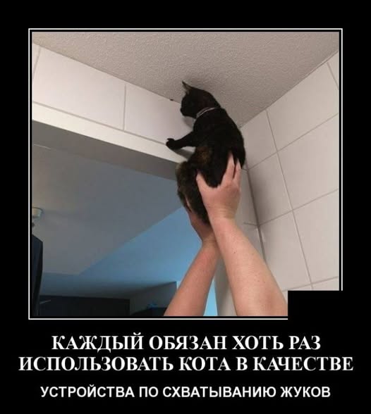 Весёлые картинки 2