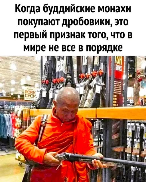 Баяны: август 2023 г - декабрь 2023 г