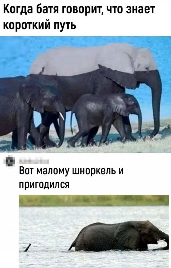 Пятниццо-баяниццо