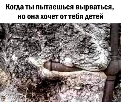 Сборная солянка